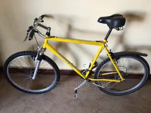 Raleigh Bike From UK