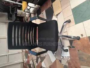 Nice Stainless Steel Legs Office Chair.
