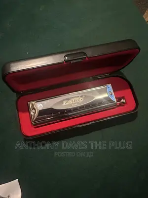 Easttop Proffesional Harmonica
