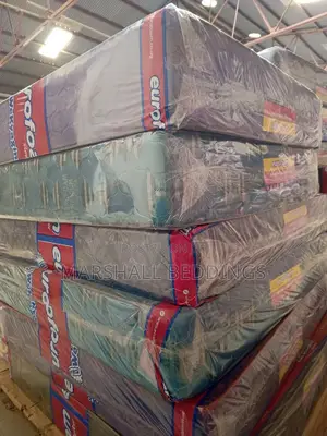 5by6/8inch Medical Orthopedic Mattress-Euroform