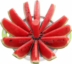 Watermelon Slicer