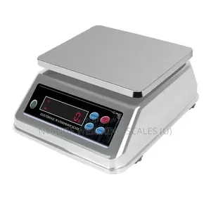 Stainless Electronic Weigh 30kg Weighing Scale Digital Weighing Scale