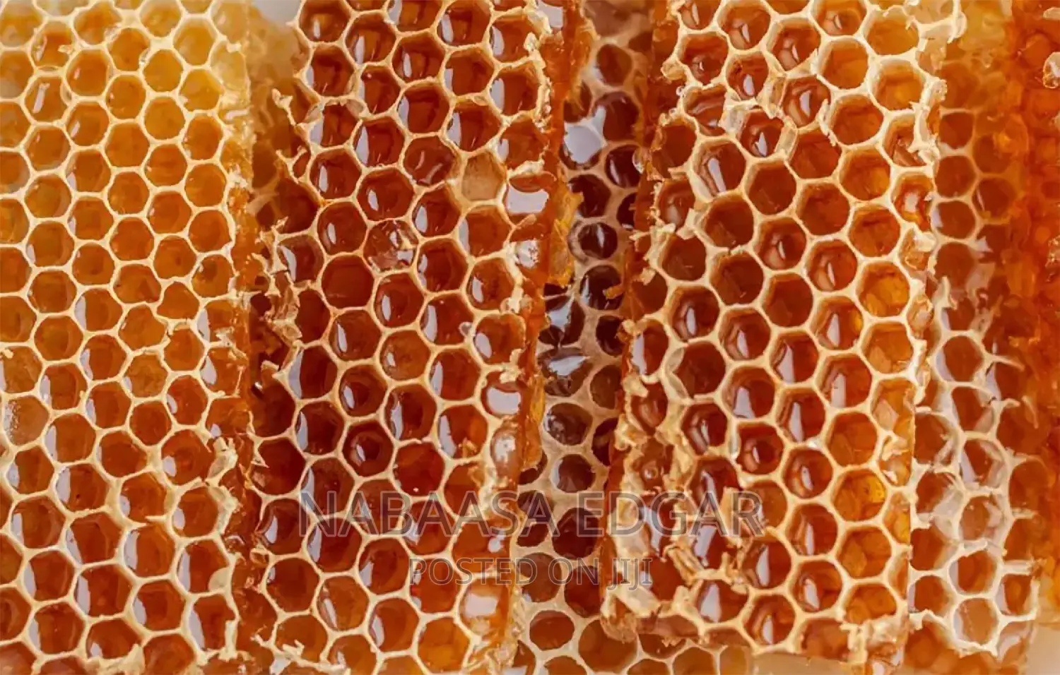 Organic Honey Combs