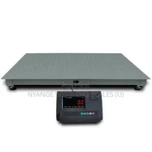 1m By1m Weighing Scale Electronic Weigh Floor Weighing Scale 3t [22]