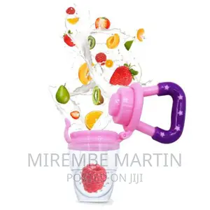 Nipple Training Massaging Toy Teether