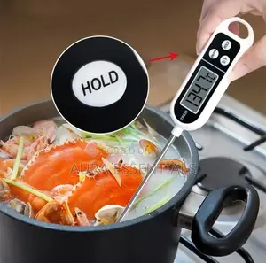 Pen Type Food Thermometer