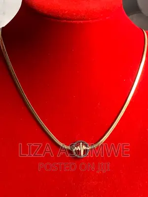 Lady’S Necklaces With a Lifeline Pendant