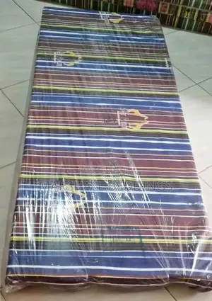 3*6/4inch Home and School Mattress Mattress