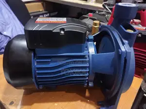 Royalty Surface Water Pump