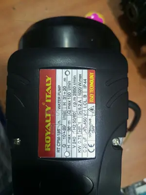 Royalty Surface Water Pump