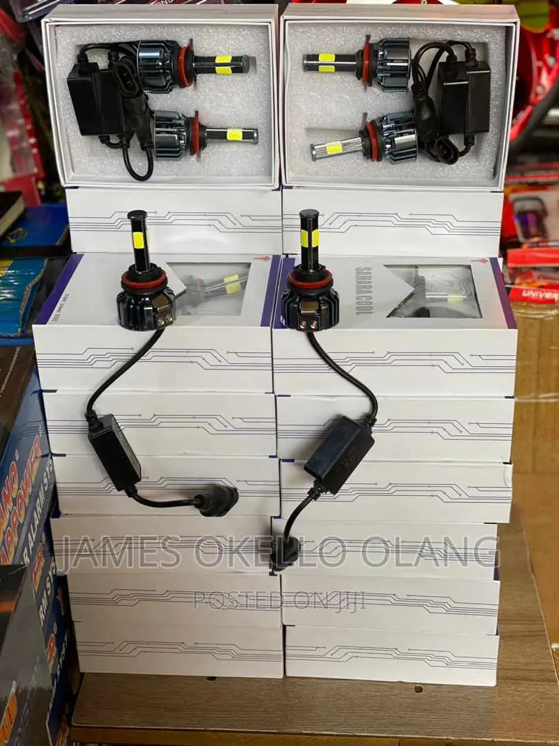 Sahara Focus Bulbs