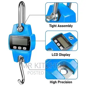 Digital Hanging Scale