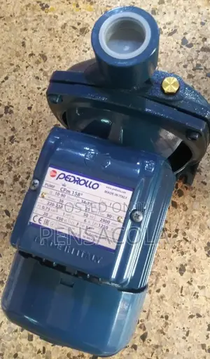 Pedrollo Surface Pump (1.0hp)