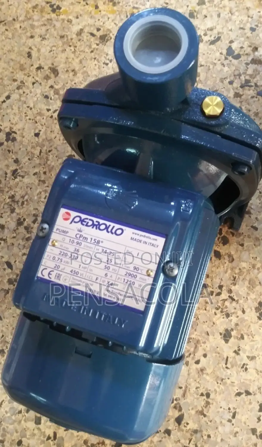 Pedrollo Surface Pump (1.0hp)