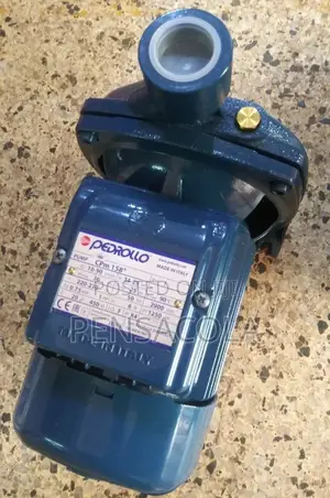 Pedrollo Surface Pump (1.0hp)
