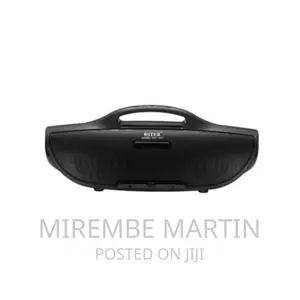 Wster WS-1038 Multimedia Bluetooth Speaker