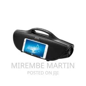 Wster WS-1038 Multimedia Bluetooth Speaker