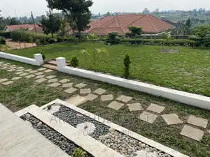 Landscape Design