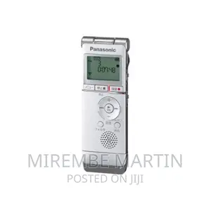 Panasonic RR-XS350 Digital IC Voice Recorder, 2GB Storage,