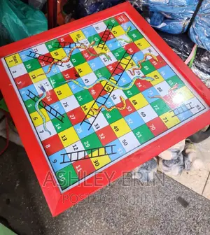 Snake and Ladder Magnetic Board Game
