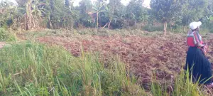 Kisozi Buddo Secondary School.50*100