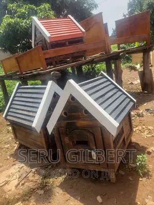 Drod Dog House
