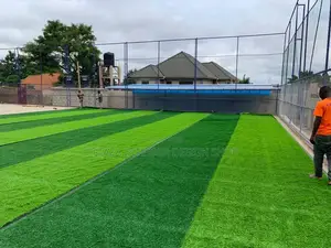 Artificial Turf Grass Carpet/Grass Carpet