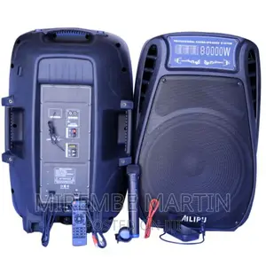AILIPU Dual 15′′ Amplified Public Address Speaker –