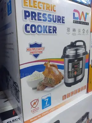 Electric Pressure Cooker/Pressure Cooker/Electric Cooker
