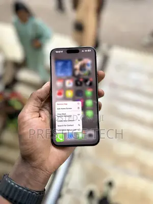 Apple iPhone 15 Pro Max 256 GB Gray