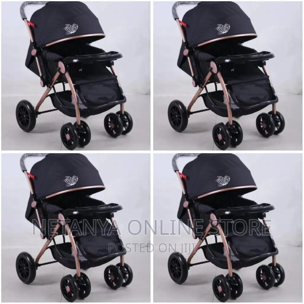 Baby 2 Way Stroller