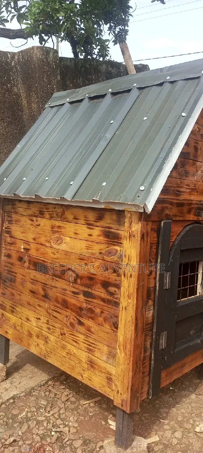 D Kennel for Dogs