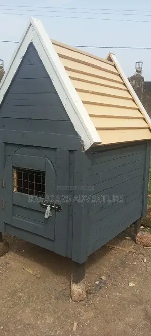 Xx Single Door Kennel