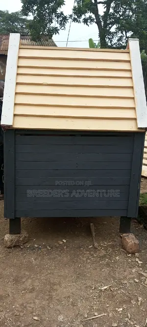 Xx Single Door Kennel