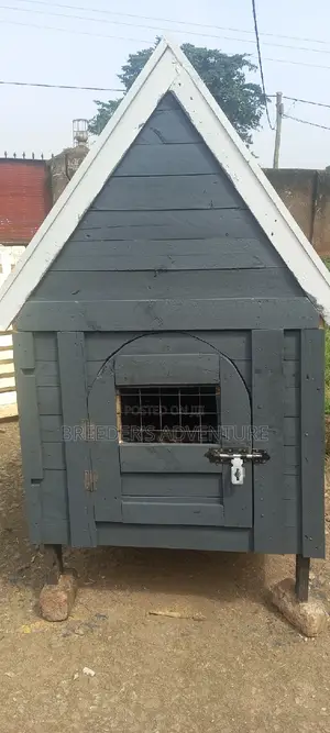 M Kennel for Dogs