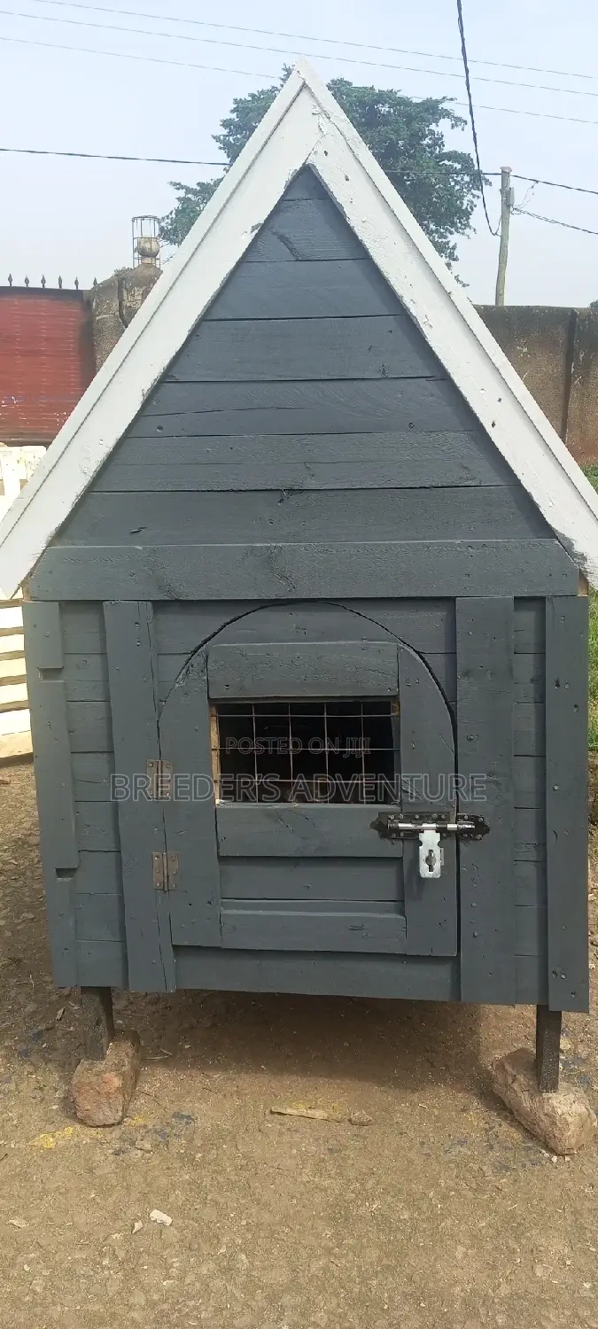 M Kennel for Dogs