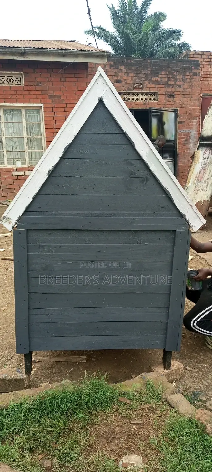 M Kennel for Dogs