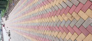 Technical Expert in Paver Laying and Construction
