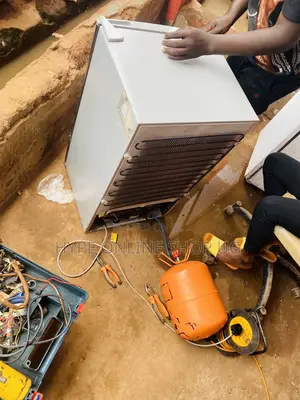 Good Fridge Technician +256