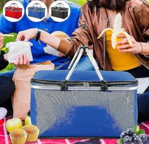 Folding Picnic Camping Insulated Bag