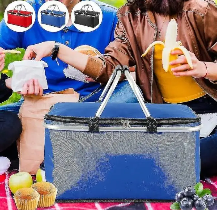 Folding Picnic Camping Insulated Bag