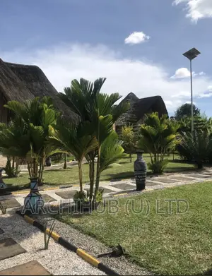 Landscape Design