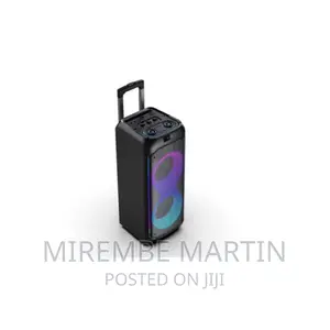 Global Star Double 6.5 Inch Trolley 100watts Speaker