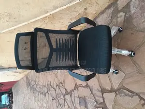 Back Holding Netted Office Chair With Headrest