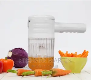 Portable Multi-Functional Mixer or Grinder