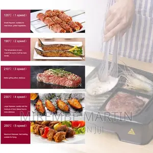 Electric Grill