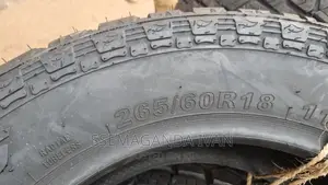 265/60r18 Express Plus