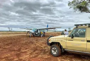 Tours,Safaris, Ticket, Car Rental, Hotels, Airport Pick Ups