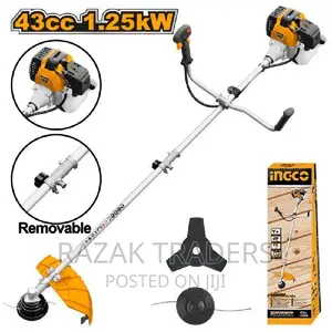 Ingco Gasoline Grass Trimmer and Bush Cutter