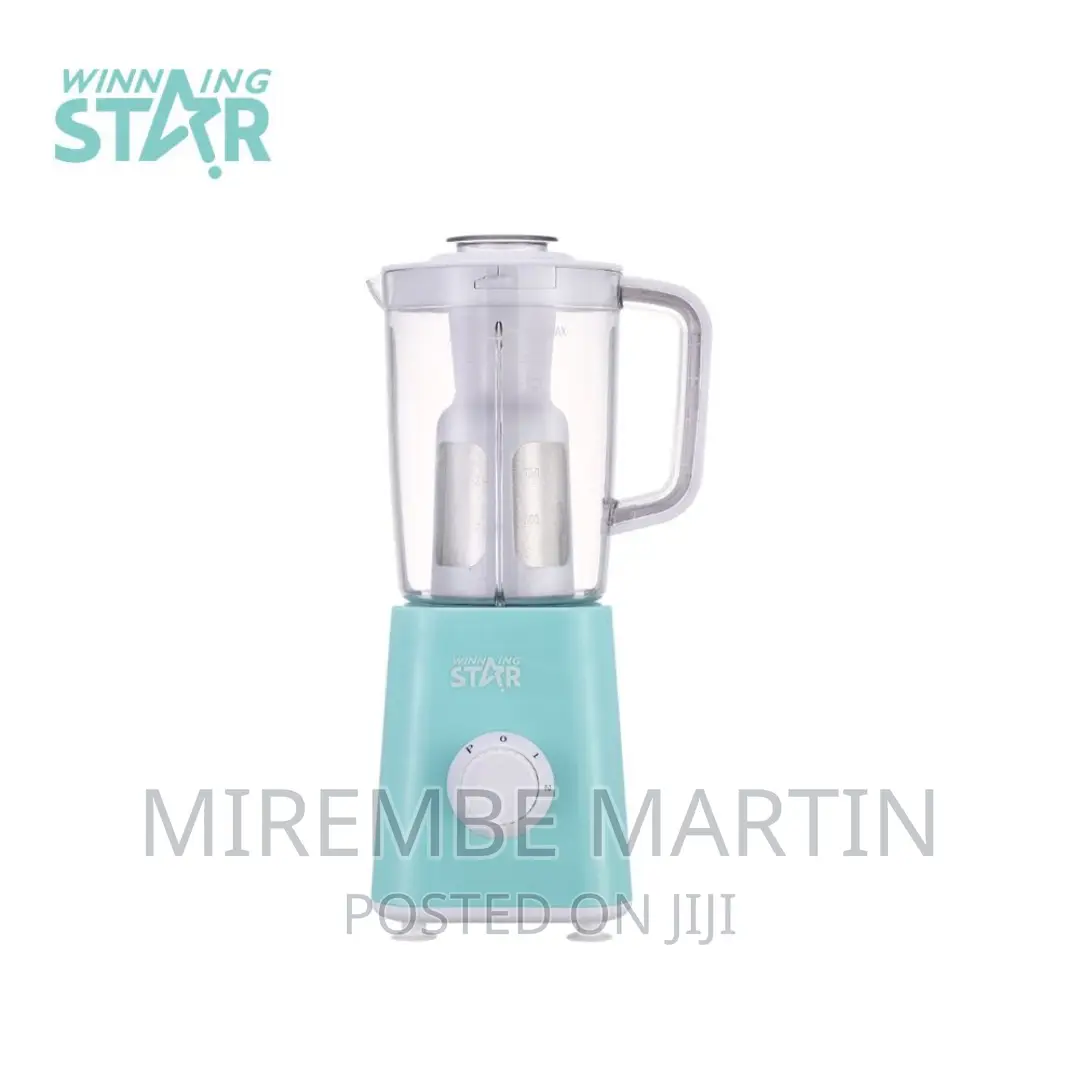 Winning Star 3 in 1 Blender ST-5501